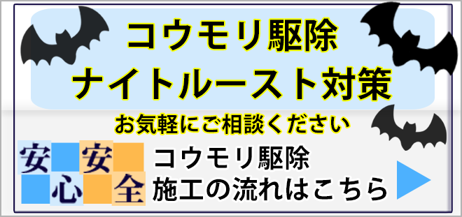 茨城県のコウモリ駆除、こうもり駆除、ナイトルースト対策はアンフィニプロダクトにお任せください。